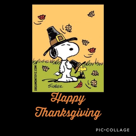 Happy Thanksgiving from my closet to yours! - Picture 2 of 2